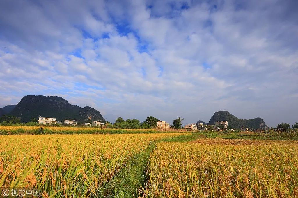 井岡山旅游上市最新動態(tài)，發(fā)展機(jī)遇與挑戰(zhàn)并存